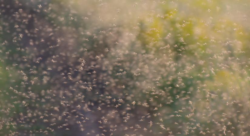 Fontos hírek jöttek a Balatonról: ez mindenkit érint, aki oda megy nyaralni