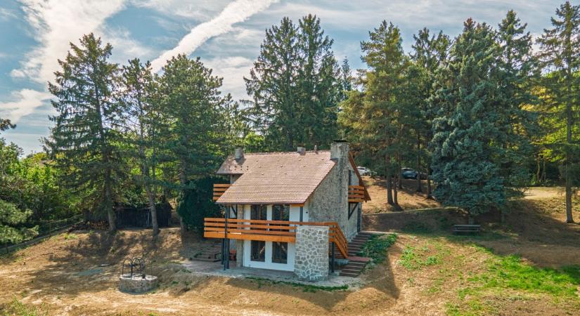 Titkos közpénz vándorolhatott a kormányzati holdudvarhoz?