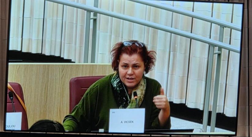 Vicsek is nemmel szavazott a nemi erőszak közös európai definíciójára