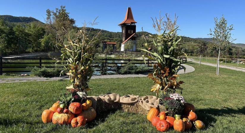 Ezerfős faluban épül verspark a Szerencsejáték 1,6 milliárdjából