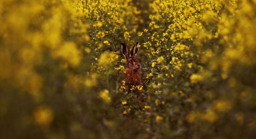 Rossz hír azoknak, akik azt hitték, már nem lesz lehűlés – mutatjuk a részleteket