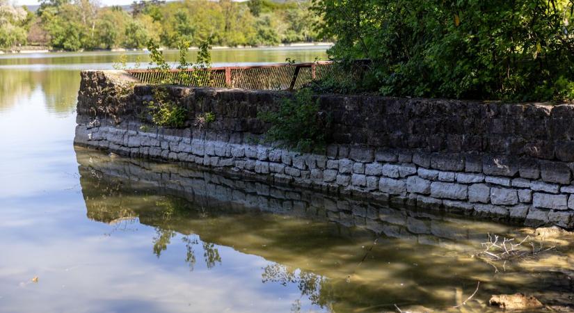 Veszélyes vízhiány: az aszály már a tatai tavak élővilágát fenyegeti