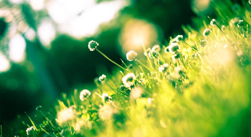 Durva időjárás vár ránk: jön a hirtelen lehűlés, eső és viharos széllökések borzolhatják az idegeket!