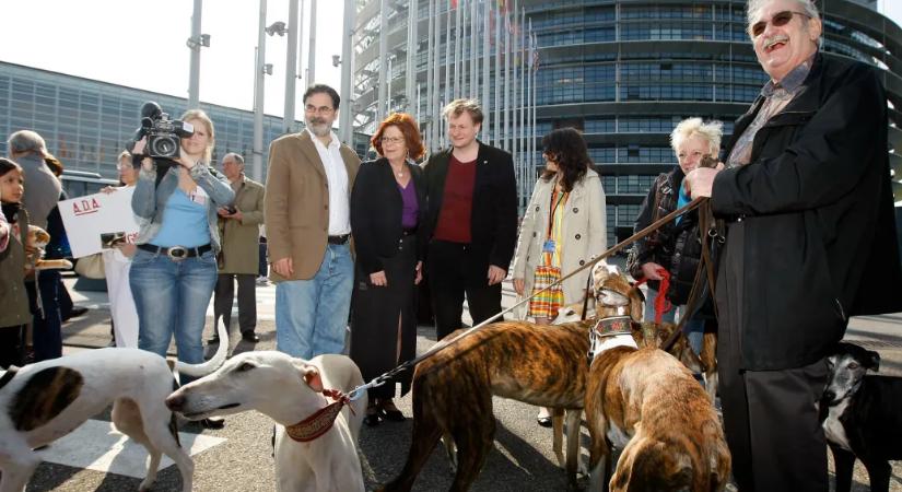 Várhatóan kötelező lesz chipet ültetni a kutyákba és macskákba az EU-ban