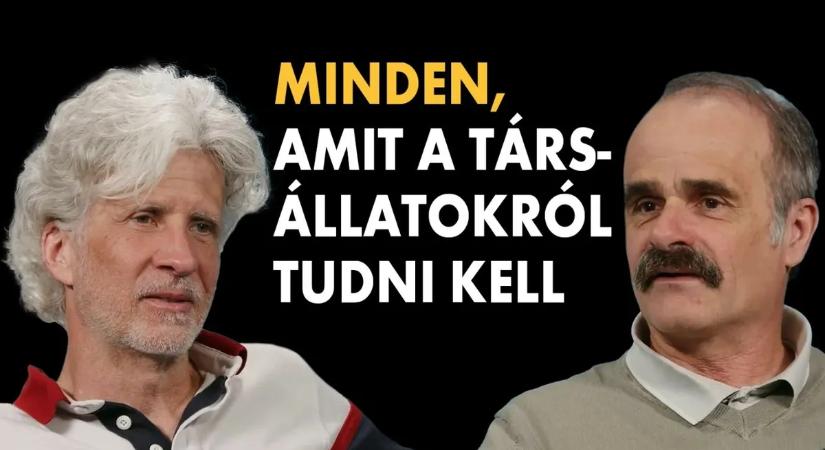 A kutya a gyereknél is fontosabb? Minden, amit a társállatokról tudni kell…