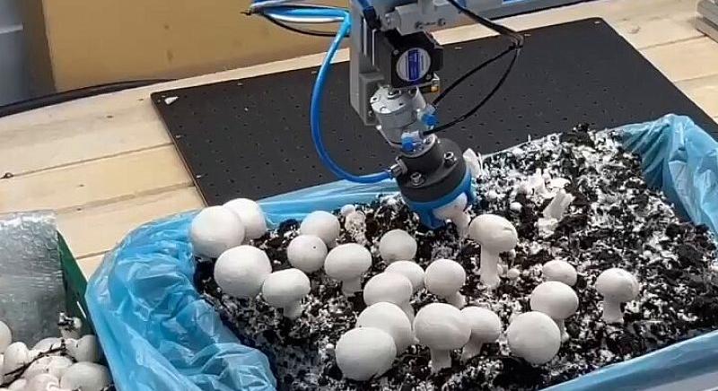 A Festo bemutatja a HPSX univerzális adaptív megfogót