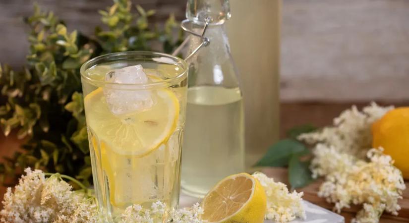 Ez a 7 legjobb bodzaszörp recept – a nagymamád is elkérné!