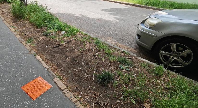 Közlekedési csapda Szegeden: parkolóhelynek tűnik, mégis elszállítják az autót