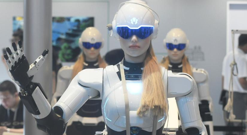 14 millió forintért online lehet humanoid robotot vásárolni