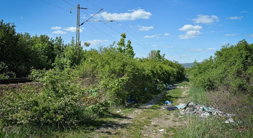 Több tíz éve felhalmozott szemét, trágyával keveredve - intézkedést sürgetnek Gyöngyösön