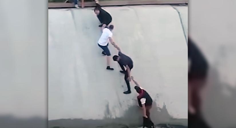 Emberi láncot alkotva mentették meg a bajba jutott kutyát