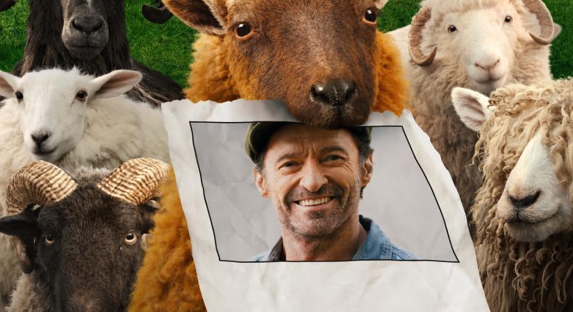 Birkakrimi-kritikák: Megérte várni Hugh Jackman új vígjátékára? Napokon belül a mozikban!