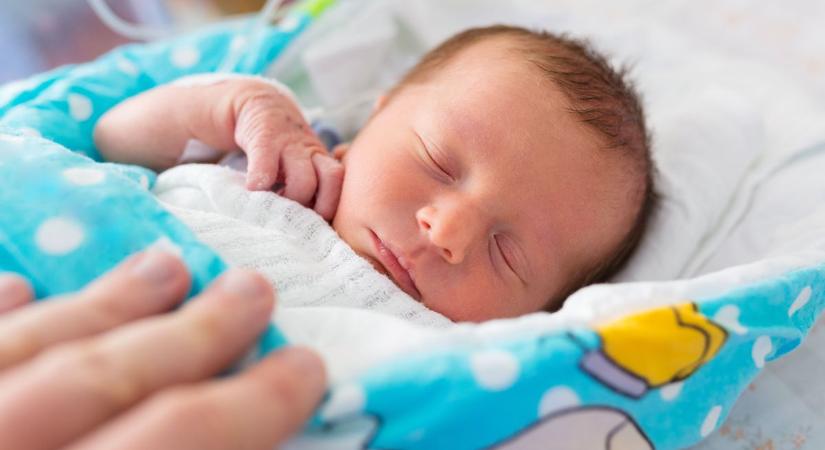 Gólyahír – újabb csöppséggel gazdagodtunk