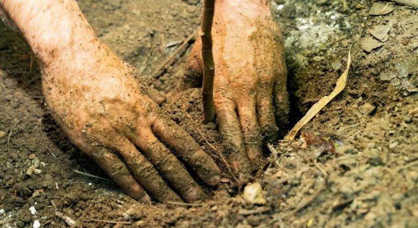 Kiásta a nővére holttestét és bevitte a bankba egy férfi, hogy pénzhez jusson