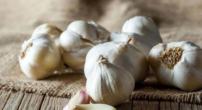 A fokhagymán túl: ezek a legjobb természetes antibiotikumok