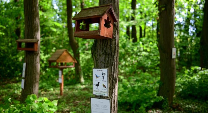 Hírmozaik – április 28.