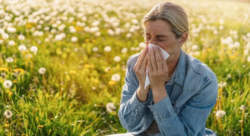 Berobbant az allergiaszezon Fejérben, sokaknál súlyos tüneteket okoz