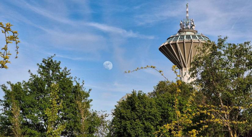 Különleges pillanatot kapott lencsevégre olvasónk Győrben - fotó