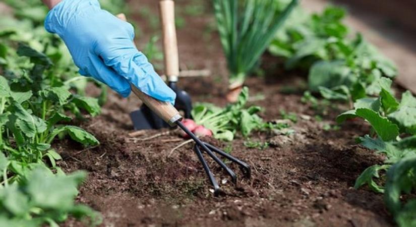 Ezért érdemes most lépni - később már nem lesz ugyanaz