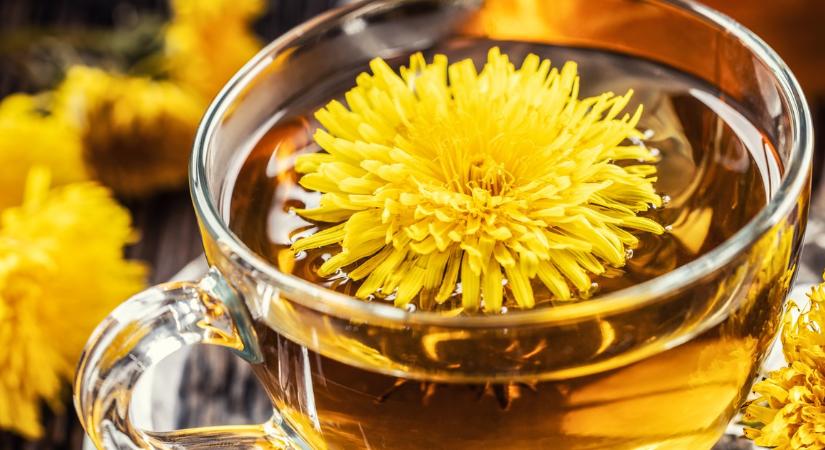 Sokak szemében csak egy makacs gyomnövény – pedig valójában igazi „rejtett kincs” lehet az egészség szempontjából