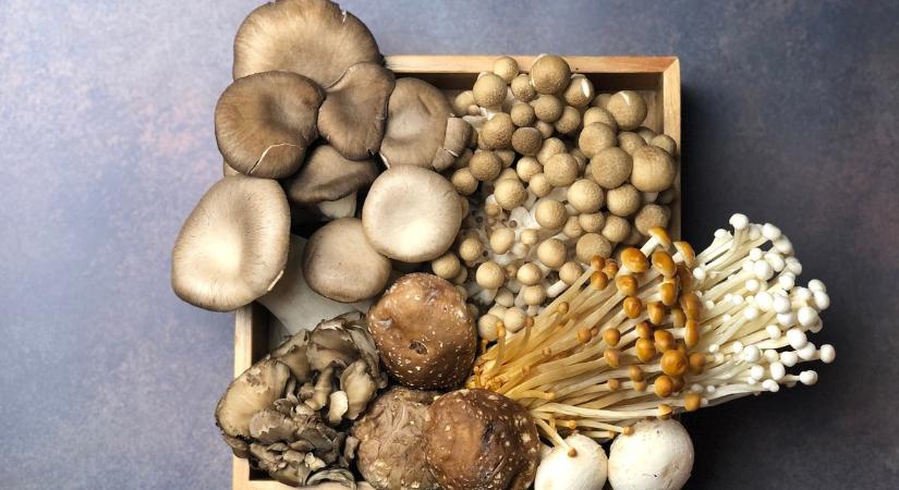 Figyelem! Ha ilyen gombát vettél a napokban, ne edd meg, kórházba kerülhetsz!
