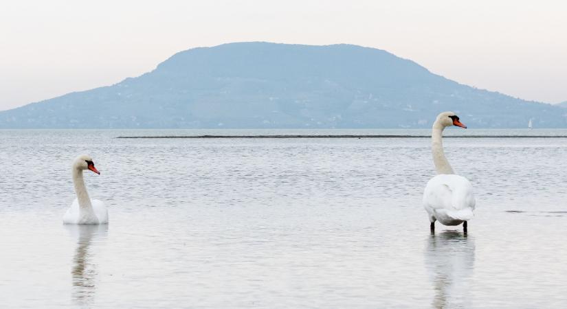Durván csapolták a Balatont a tó körül, de most vége a dalnak
