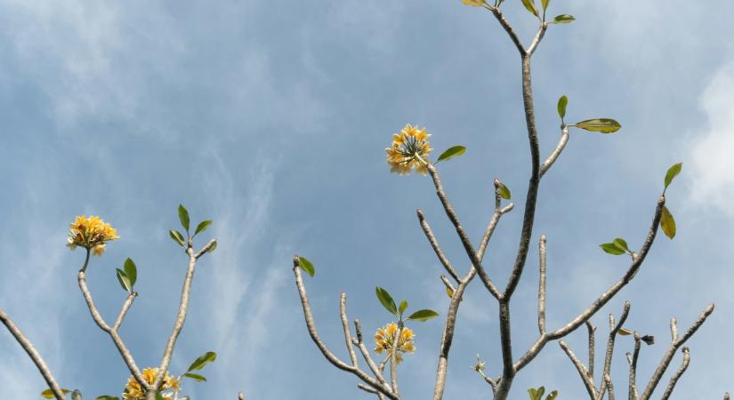 Időjárás 2026. április 29.: Közepesen felhős, erősödő széllel