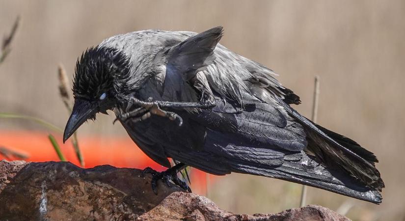 Hűvös hajnal, szeles nappal vár ránk szerdán