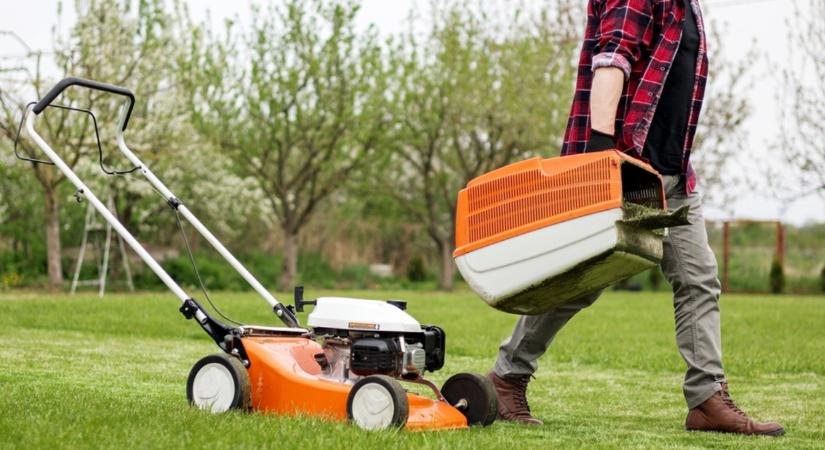 Így lehet látványos változás a kertedben pár hét alatt