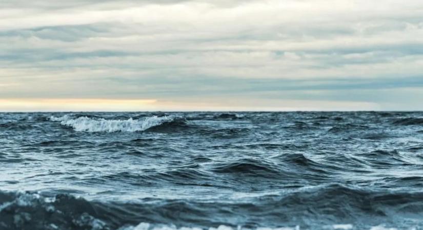 Ritka mutánst fogtak ki az Atlanti-óceánból