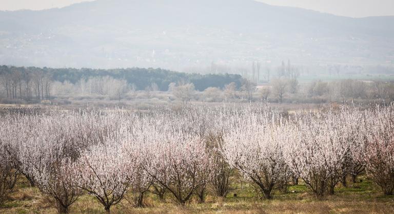 Szeles napsütés és hidegfronti hatás: így alakul a szerdai időjárás