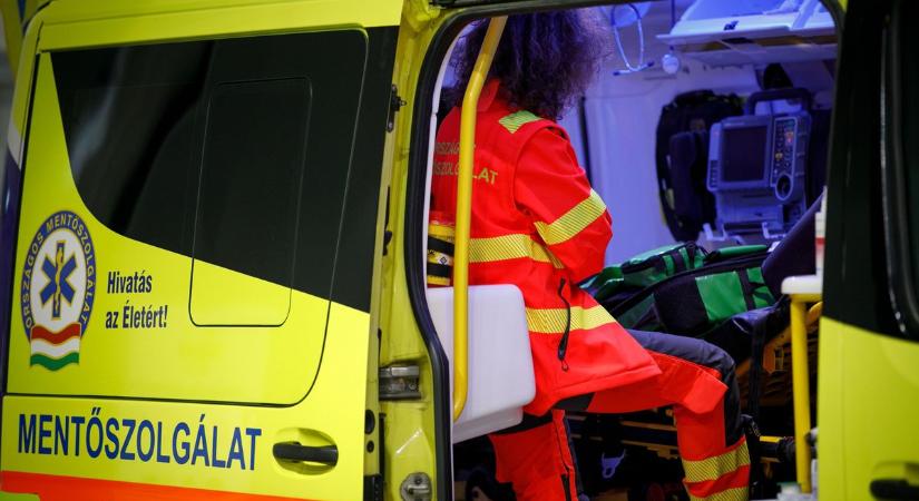 Mérgezések: több mint 200 bejelentés érkezett Szabolcs vármegyéből