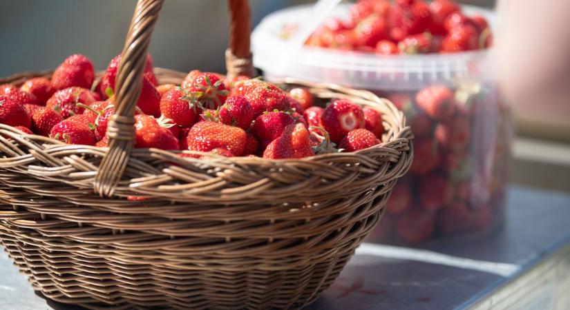 Eper az erkélyen? A legtöbben itt rontják el – a kertész elárulja most a titkot
