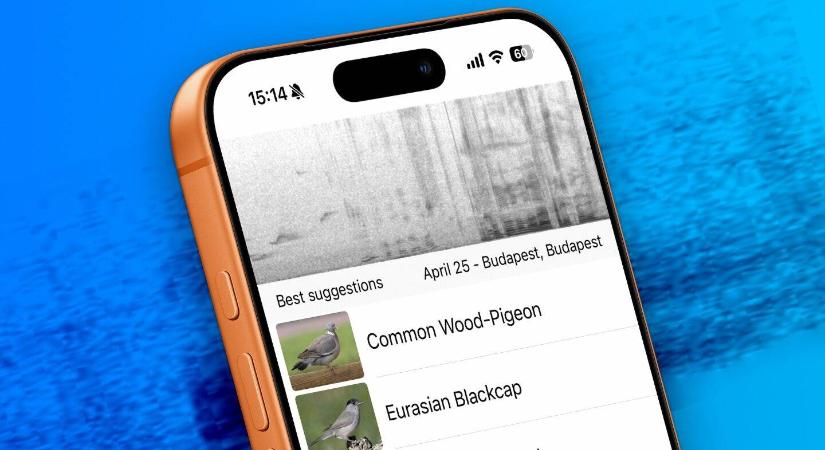 Madárfelismerő app ingyen: e nélkül ne induljon kirándulni