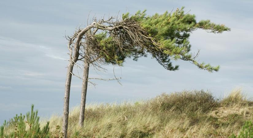 Órákon belül jön a viharos erejű szél: mutatjuk, milyen idő vár ránk ma