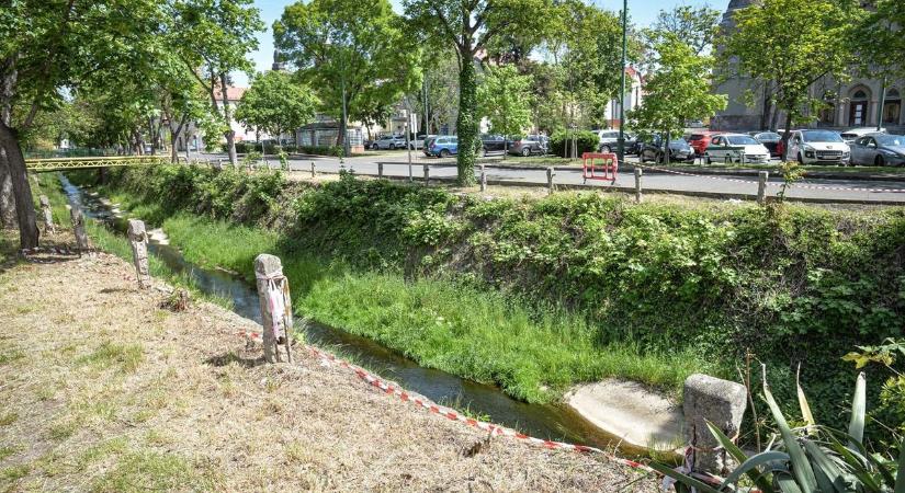 Fokozottan figyeljen a testi épségére, aki a gyöngyösi patakparton jár!