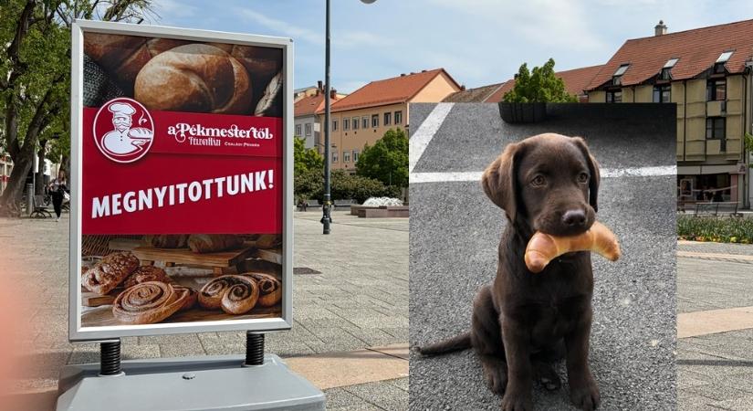 Magyar családi pékség nyílt Szombathelyen – a Fő téren!