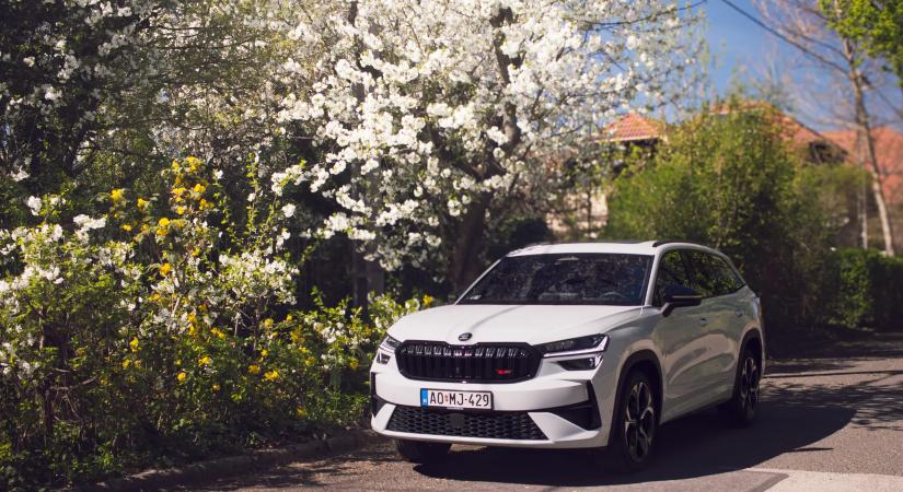 Méltón áll a kínálat csúcsán - Teszten a Škoda Kodiaq RS