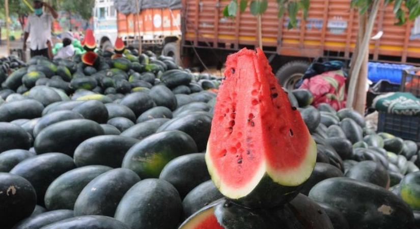 Meghalt egy négytagú család, miután görögdinnyét ettek