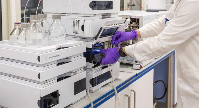 Élősködő baktériumot találtak az egyik csomagolt zöldségben, mindet visszahívták a polcokról!