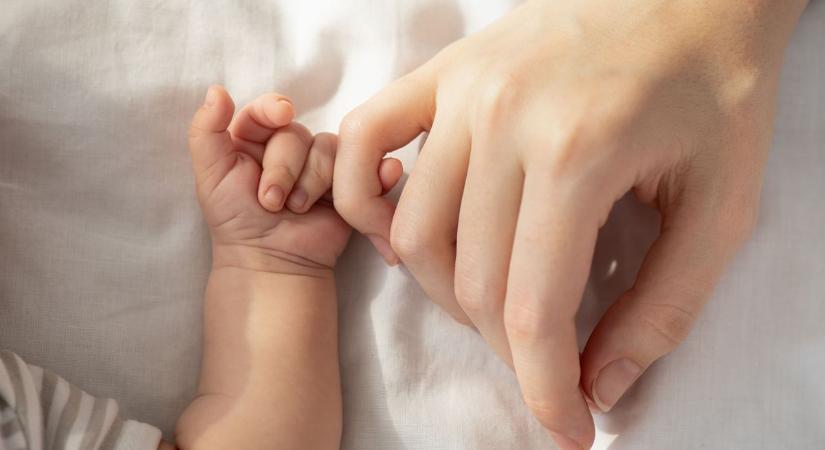 Kecskeméti anyakönyvi hírek, 17. hét