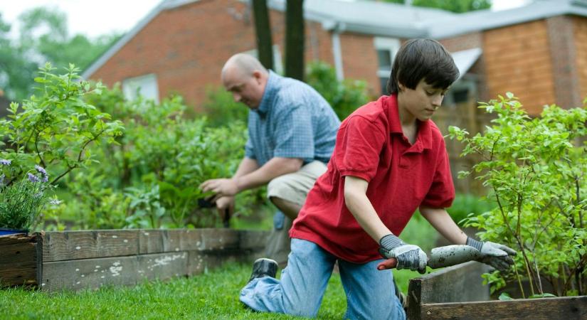 Kerti hibák tavasszal: ezeket rontják el a legtöbben