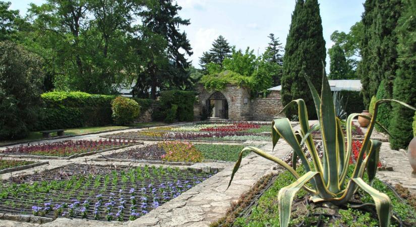 Így lehet egyszerűbb a kertészkedés, mint valaha