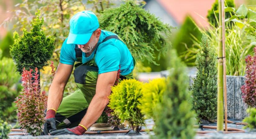 Hogyan használjuk a napfényt a gyomok és a kerti kártevők természetes irtására?