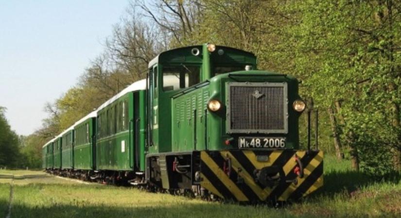 Zsuzsi: menetrend szerint