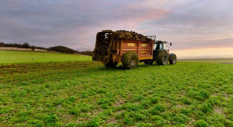 Tavaszi trágyázás: most lehet megalapozni az idei termést