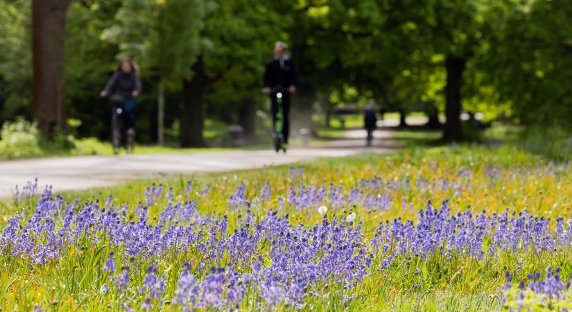 Borúra derű: ideális lesz a május 1-jei hosszú hétvége