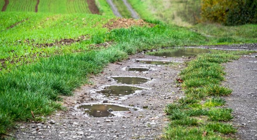 Eleredt az eső: van, ahol már kaptak a földek az égi áldásból