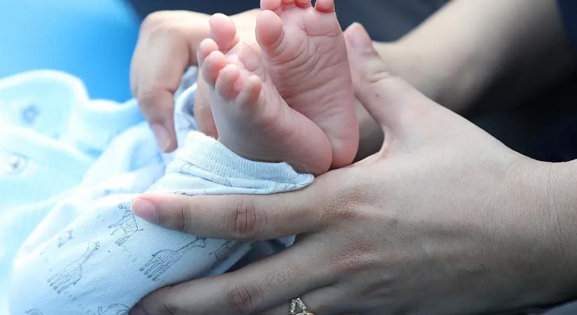 Először adtak magyar kutatók agykárosodást szenvedett újszülötteknek anyatejet az orrjáraton keresztül