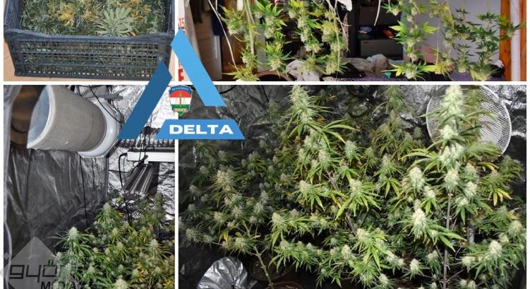 Bántalmazás és drog – súlyos eset Sopronban